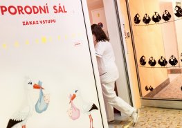 V létě, kdy jsou dovolené, bývá zpravidla více porodů, každý den se u nás nyní narodí v průměru 3 miminka, říká primář porodnice