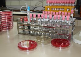 VI. krajský mezioborový mikrobiologicko-infektologický seminář