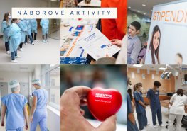 Nemocnice ladila možnosti spolupráce s královéhradeckou lékařskou fakultou