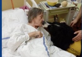 Pes Indy je pravidelným návštěvníkem léčebny dlouhodobě nemocných